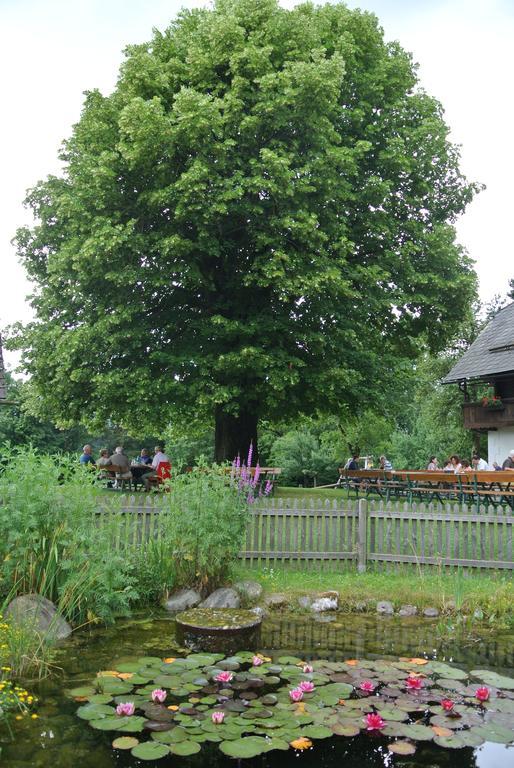 Appartment Buerger-Hinteregger Seeboden Exterior foto